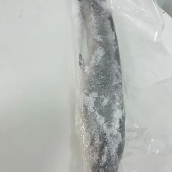 Frozen Catfish per LB