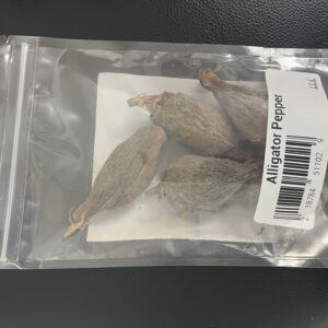 Alligator Pepper